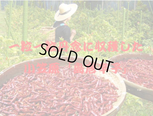 画像5: 【送料無料】お試しセット￥1,980 (5)