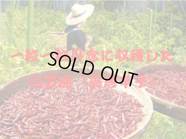 画像2: 激辛世界一を超えた！国産島唐辛子 「小笠原薬味島唐辛子」７個セット【送料無料】 (2)