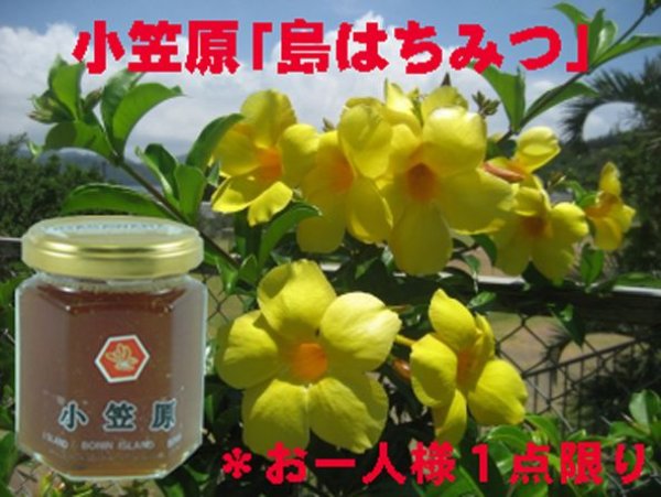 画像3: 超貴重!世界遺産小笠原「島はちみつ」【送料無料】【入手困難】【激レア商品】 (3)