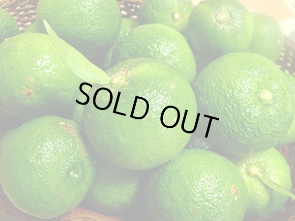 画像4: 国産島唐辛子「小笠原柚子胡椒」 (4)