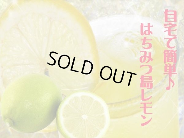 画像2: 超貴重！世界遺産小笠原島はちみつ使用「はちみつ島レモン」【限定販売】 (2)