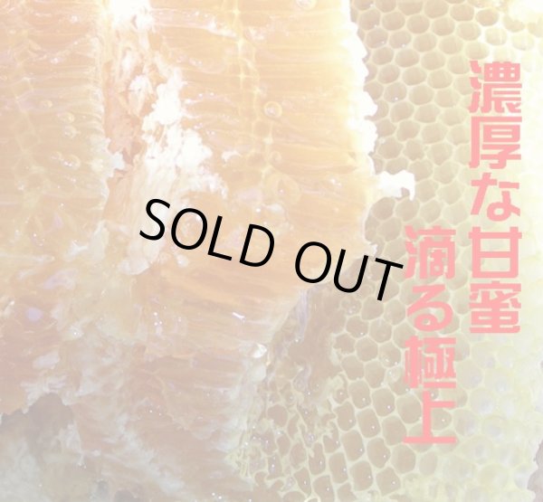 画像4: 超貴重！世界遺産小笠原島はちみつ使用「はちみつ島レモン」【限定販売】 (4)