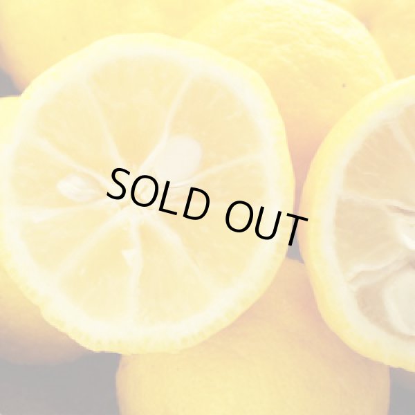 画像3: 国産島唐辛子「小笠原完熟生柚子胡椒」 (3)