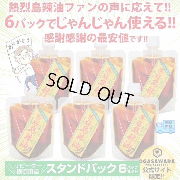 画像1: ＜新発売＞【使い捨てパック入で便利！】薬膳島ラー油　スタンドパック6パックセット【送料無料】 (1)