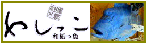 ZIZYのお魚ギャラリー